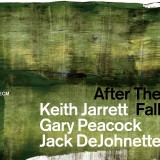 After The Fall
